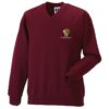 V-Neck Sweatshirt