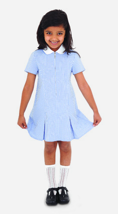 Glade Avon Gingham Dress
